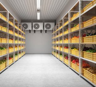 Building the Future of Food with Advanced Cold Storage Solutions in China