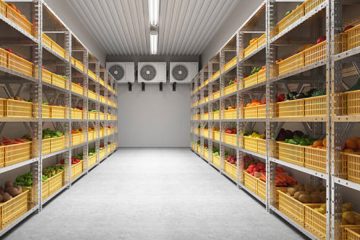Building the Future of Food with Advanced Cold Storage Solutions in China